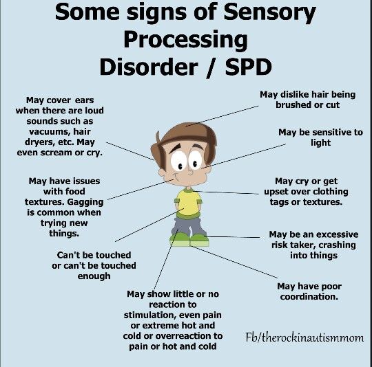 what is spd.