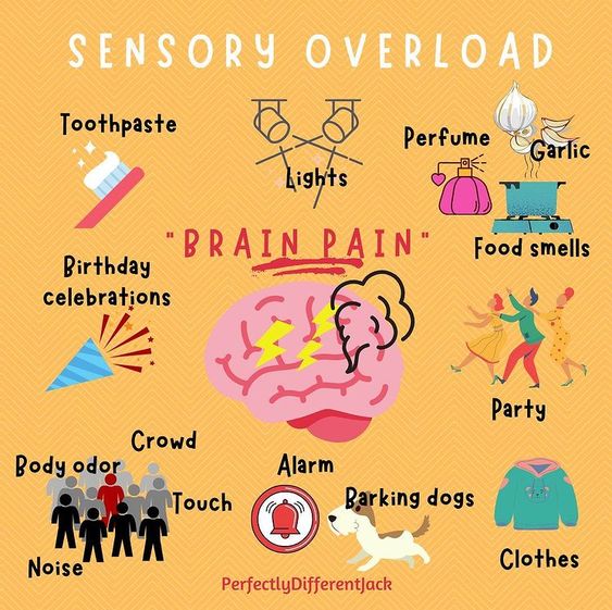 sensory stimuli. examples of sensory overload.