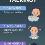 2-year-old not talking. The infographic shows that most children start cooing and babbling at around 3-6 months old, copying sounds and gestures at around 6-12 months old, and saying their first words and simple phrases at around 12-18 months old.