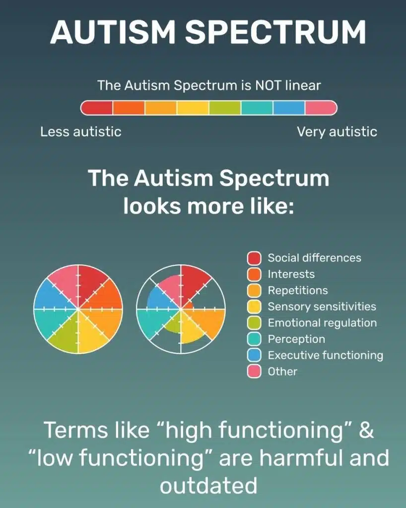 autism spectrum wheel illustration. This infographic shows that the autism spectrum is a wheel, and is not a linear path.