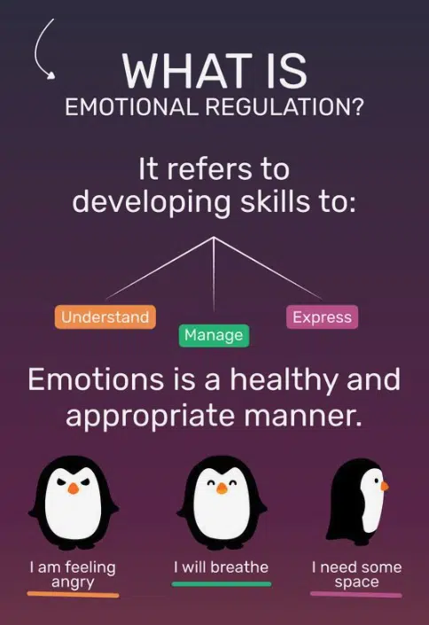 adhd and emotional regulation