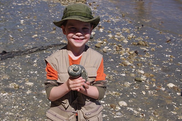 summer activities for kids. a boy is collecting shells at the beach.