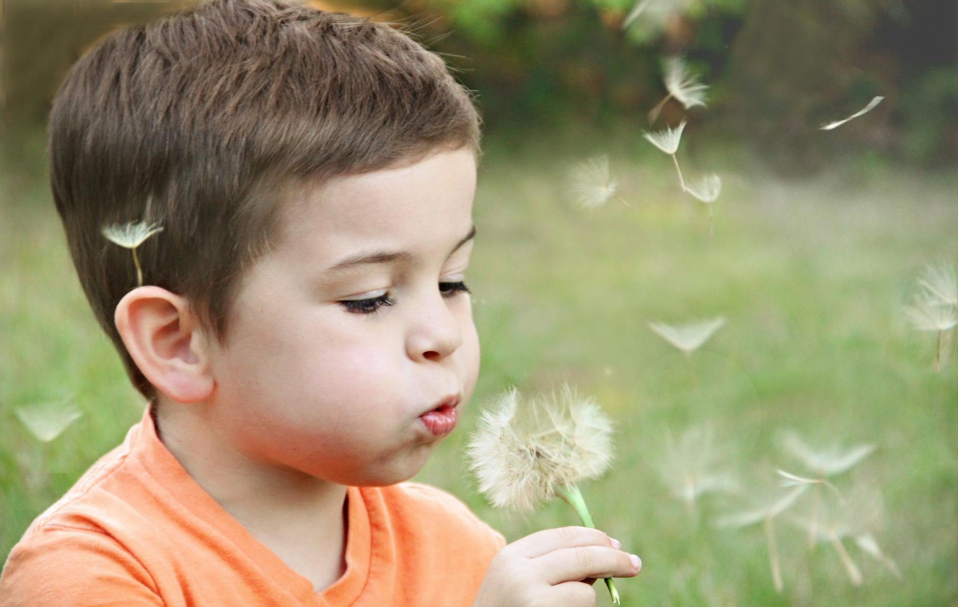 boy wearing orange shirt blowing on dandelion